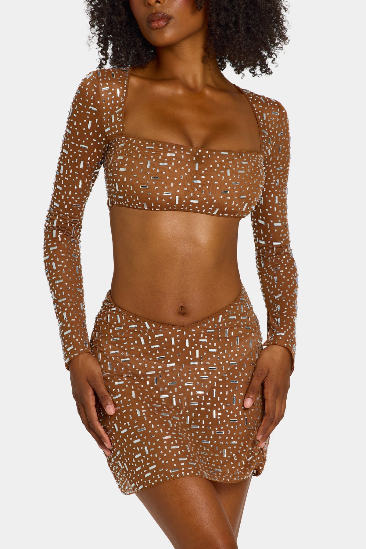 Sheer Embellished Long Sleeve Crop Top in Mocha